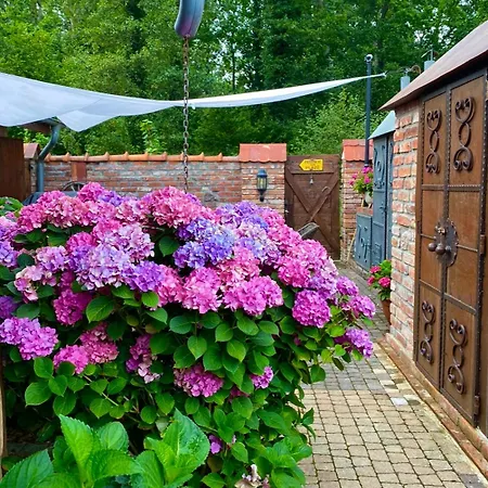 アパート Stare *